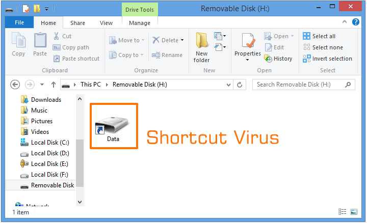 Recover-files-from-Shortcut-Virus-using-SpaceSniffer_Best Way